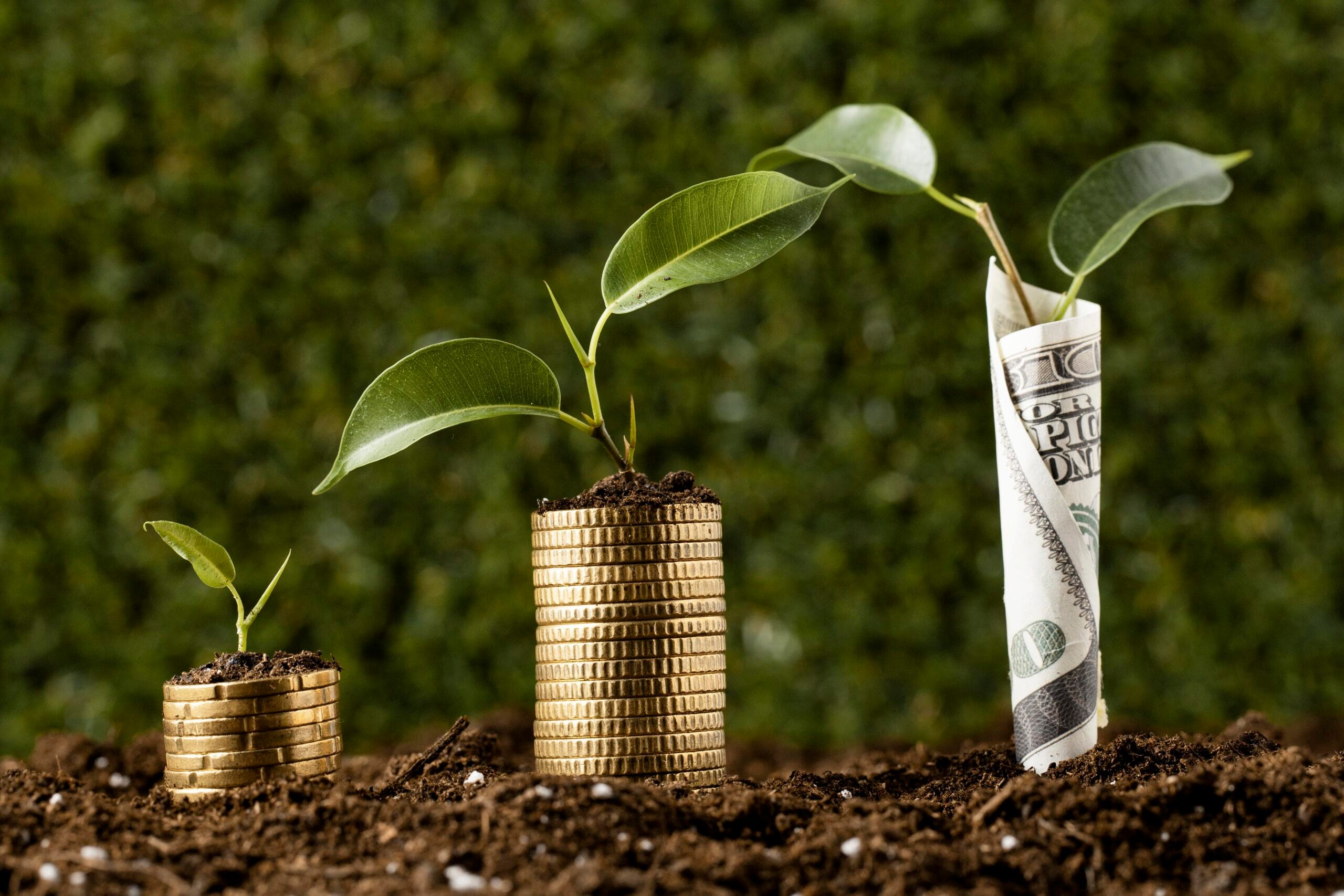 what is seed funding